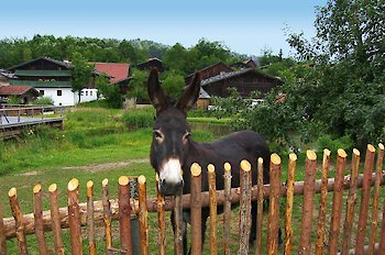 Sehenswürdigkeiten im Passauer Land